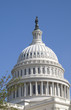 The Dome of the U.S. Capitol Against a Bright Blue Sky The Dome of the U.S. Capitol Against a Bright Blue Sky