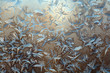 ice patterns on glass