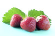 Erdbeeren