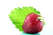 Erdbeere mit Blatt