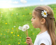 Summer dreams