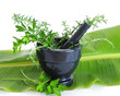 Herbs in a Mortar