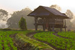 Cabin in the morning Cabin in the morning
