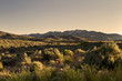 north nevada