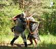 fighting knights