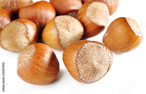 Photo: hazelnuts on white background hazelnuts on white background