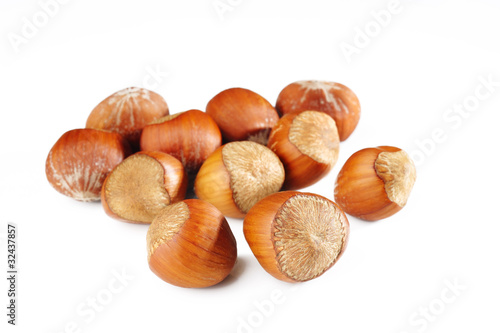 Photo: hazelnuts hazelnuts