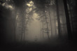 spooky landscape with a man walking in a dark forest