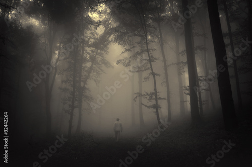 Photo: spooky landscape with a man walking in a dark forest spooky landscape with a man walking in a dark forest