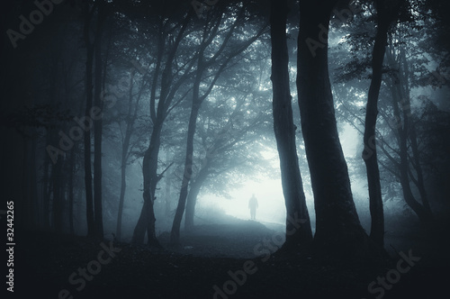 Foto: shadow sneaking in the forest shadow sneaking in the forest