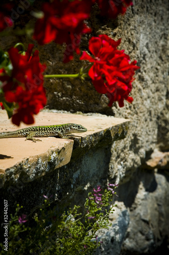 photo par gabrielhector
