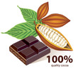Vector cocoa beans with chocolate bar Vector cocoa beans with chocolate bar