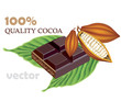 Cocoa beans with green With tile of black chocolate