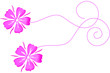 FLEURS ROSE