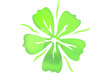 FLEUR VERTE