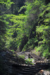 Slovak Paradise Slovak Paradise