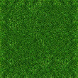 gras hintergrund