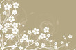 vector floral decorative abstract background