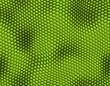 Illustration: Lizard skin Lizard skin