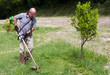 Edge trimmers