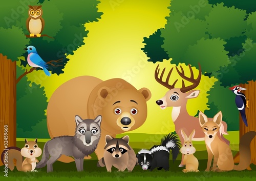 Vector: Wild animal cartoon Wild animal cartoon