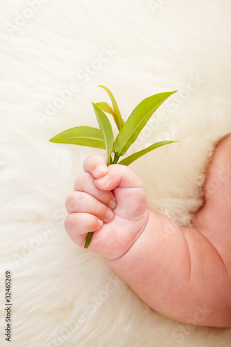 Photo: Young and growth Young and growth