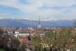 Turin view Turin view
