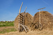 Agriculture background. Agriculture background.