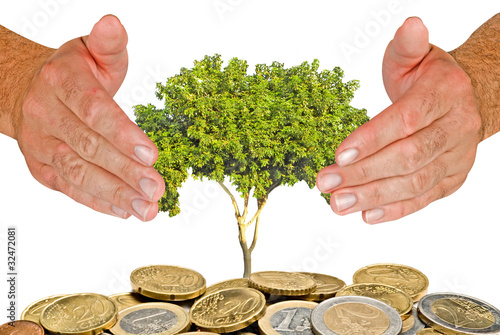 Photo: Hands protecting tree Hands protecting tree