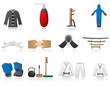 martial arts color icons