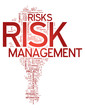 Word Cloud "Risk Management"