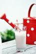 Erdbeershake
