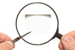 Photo: Leaf in tweezers under a magnifying glass Leaf in tweezers under a magnifying glass