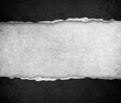 ripped paper ripped paper