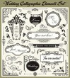 Vector: Wedding Ornamental and Calligraphic Designs Set Wedding Ornamental and Calligraphic Designs Set