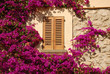 Fenster mit Blumenrahmen