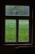 Fenster mit Blick auf eine grüne Wiese Fenster mit Blick auf eine grüne Wiese