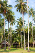 Huts on an ocean coast, Thailand