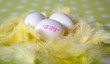 Eier