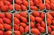 étal de fraises au marché étal de fraises au marché