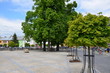 Trees on a town square