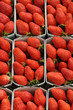 étal de fraises au marché étal de fraises au marché
