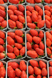 étal de fraises au marché étal de fraises au marché