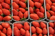 étal de fraises au marché étal de fraises au marché