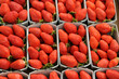 étal de fraises au marché étal de fraises au marché