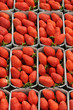 étal de fraises au marché étal de fraises au marché
