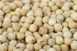White pepper background White pepper background