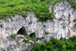 Fragment of Limestone Rock Fragment of Limestone Rock