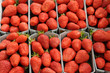 étal de fraises au marché étal de fraises au marché