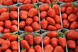 étal de fraises au marché étal de fraises au marché